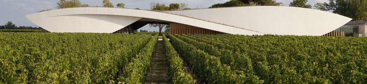 Weinrebenreihen auf Château Cheval Blanc und im Hintergrund die Gebäude des Weinguts