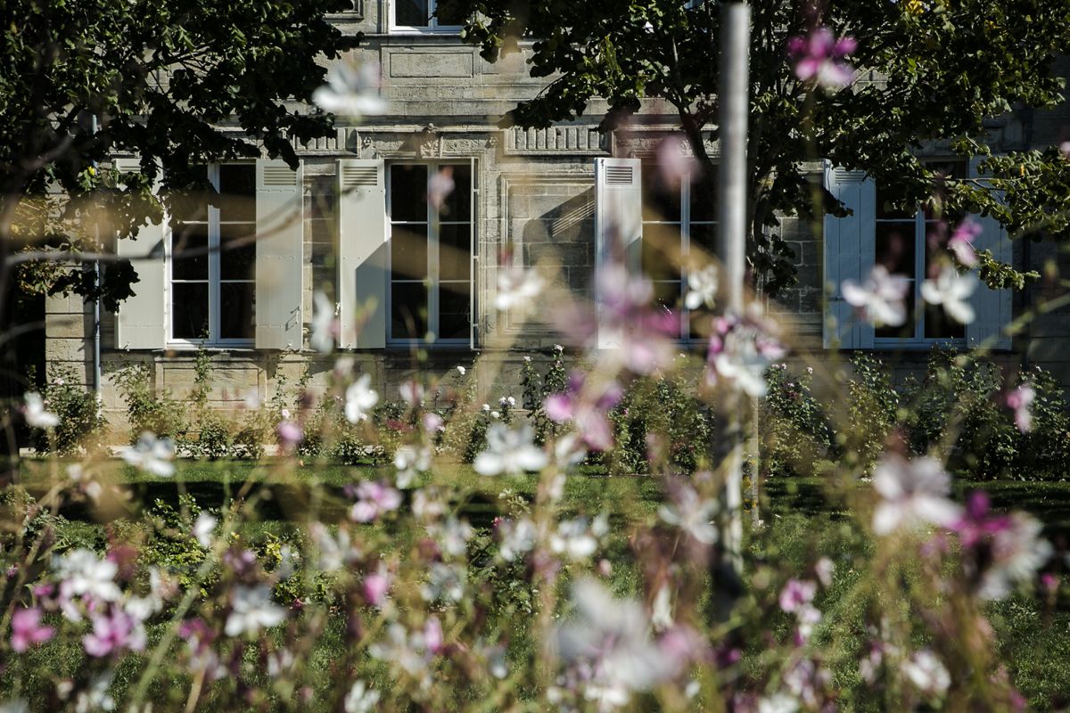 Nahaufnahmen von Blumenwiese vor Gebädue von Chateau Ferriere