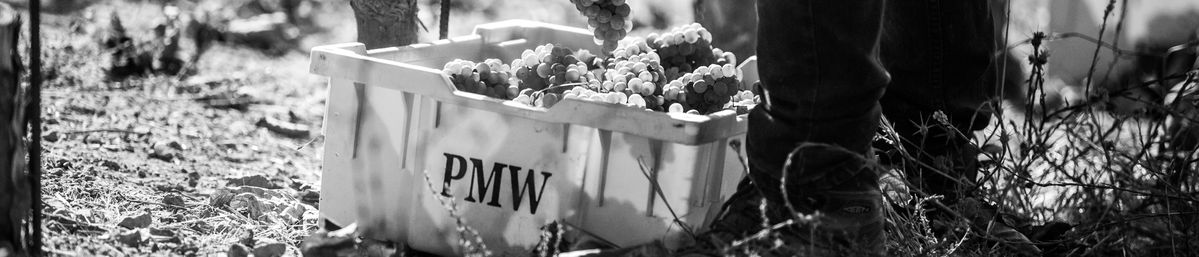 Eine Kiste mit dem Logo von Peter Michael Winery und Trauben