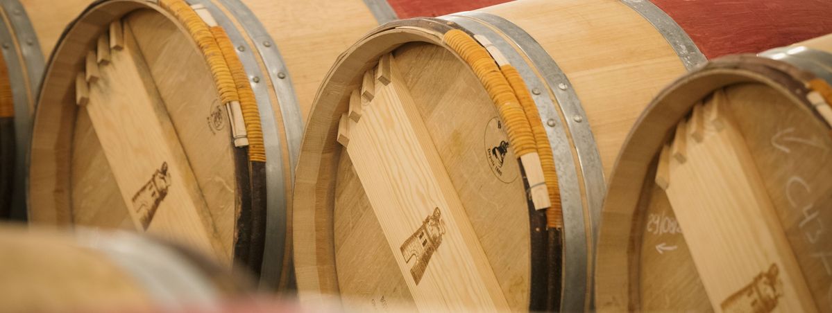Reihen liegender Weinflaschen in einem hölzernen Flaschenregal