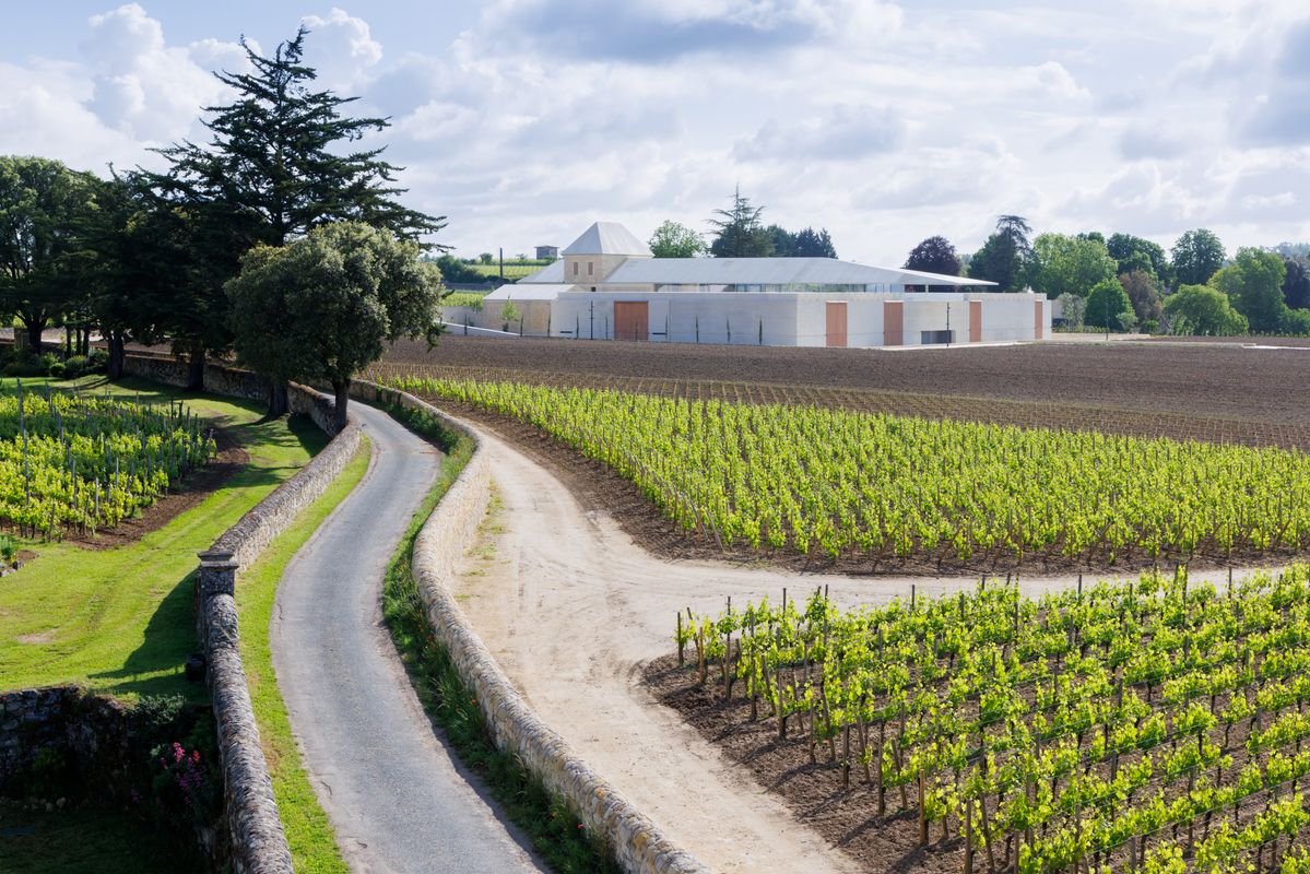 Weinberge mit Straße unter blauem Himmel und Gebäude von Château Bélair Monage