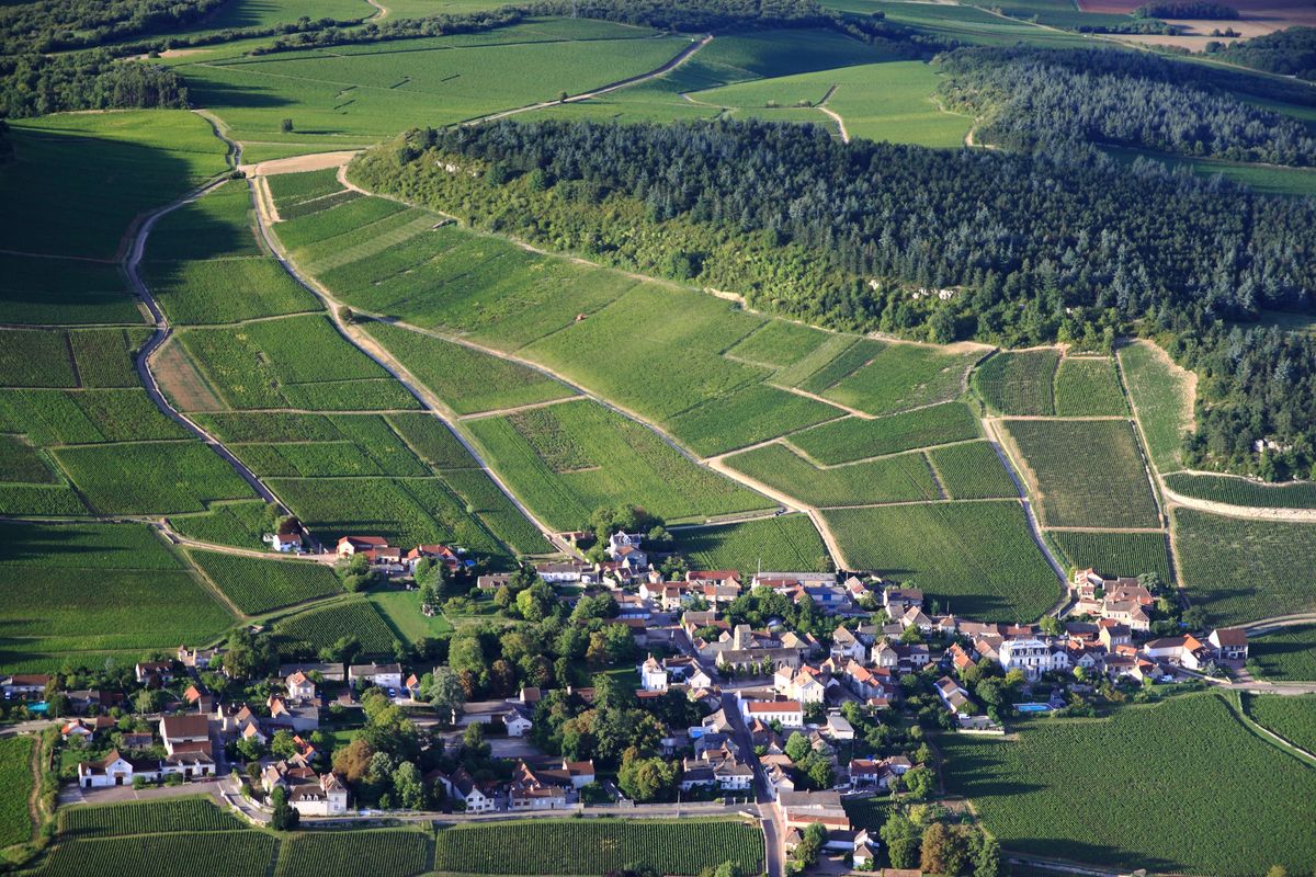 Bild von Domaine Lorenzon