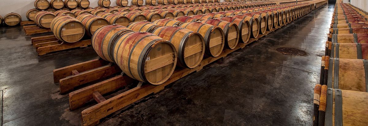 Hölzerne Weinfässer nebeneinander gereiht auf Betonboden von Chateau Duhart Milon Rothschild