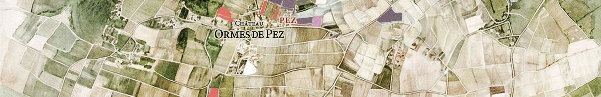 Karte der Parzellen von Château Ormes de Pez