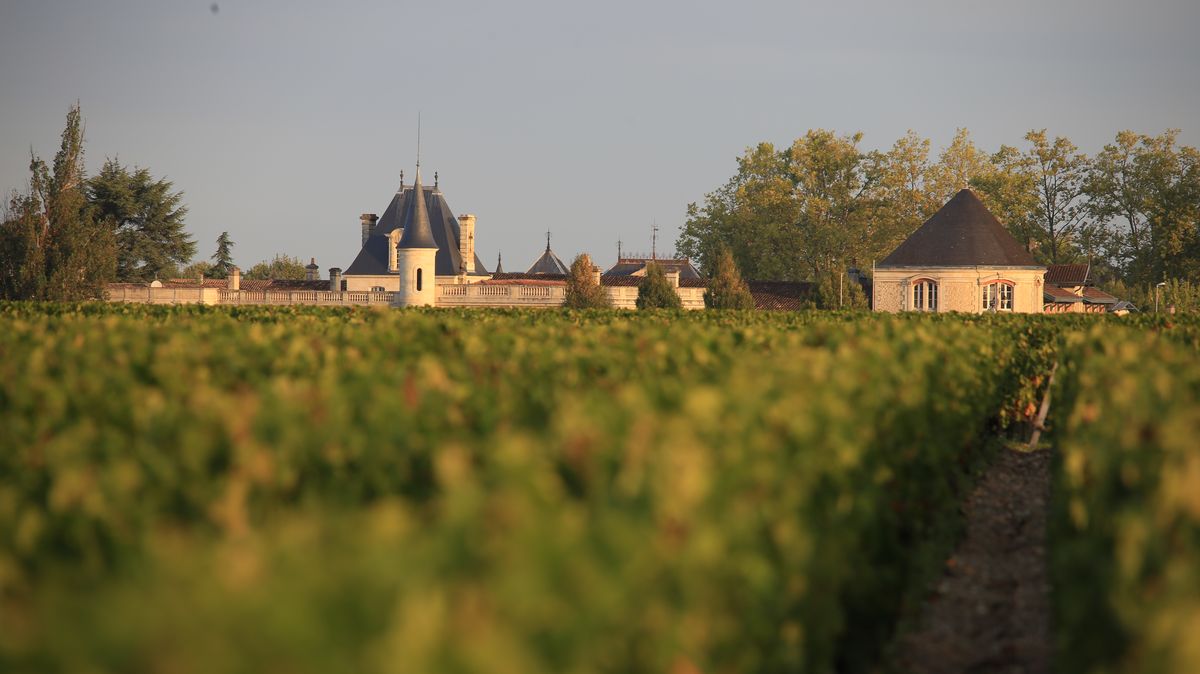 Weinreben von Chateau Durfort Vivens im Hintergrund weißes Gebäude unter blauem Himmel