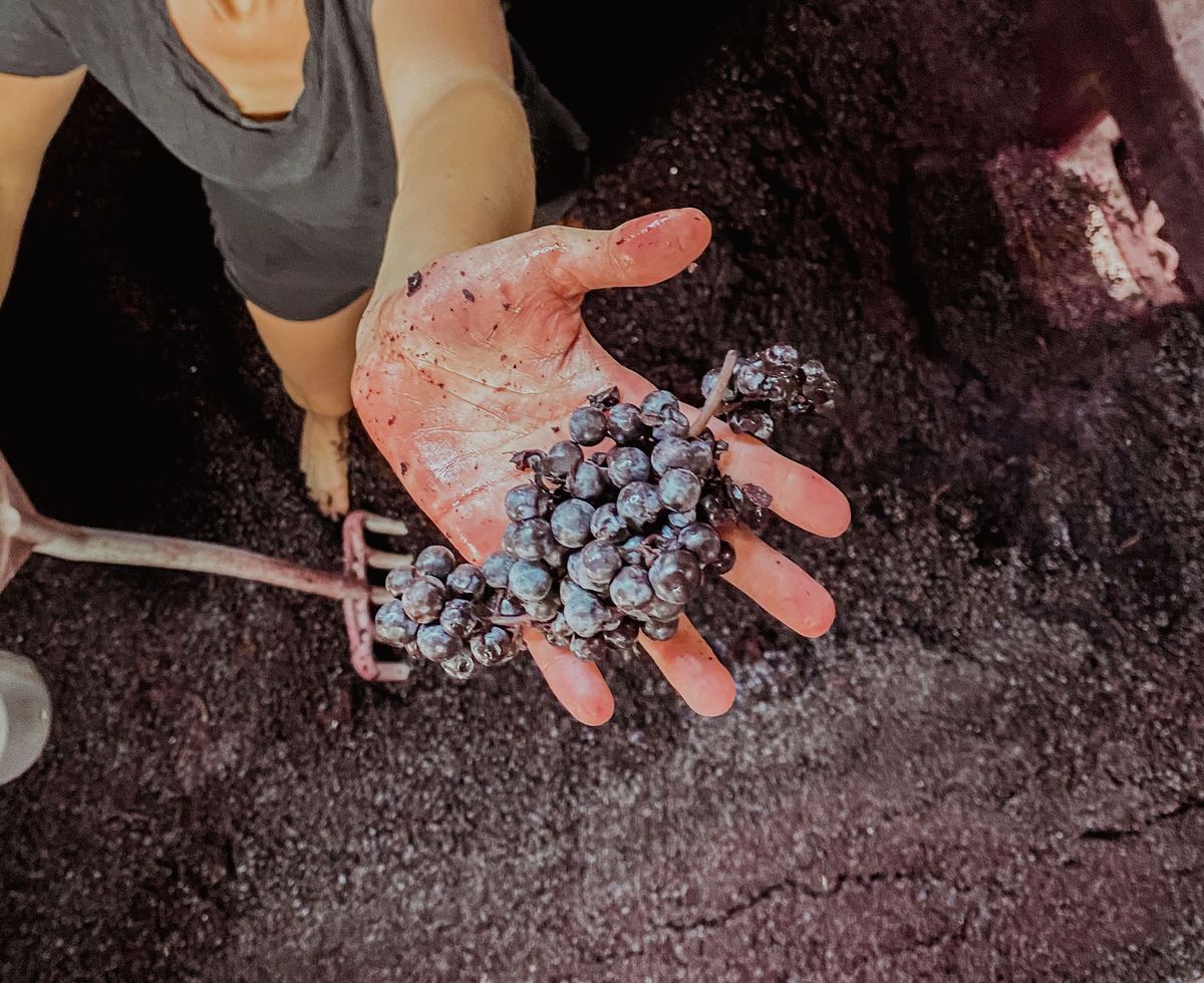 Chateau Larrivet Haut Brion