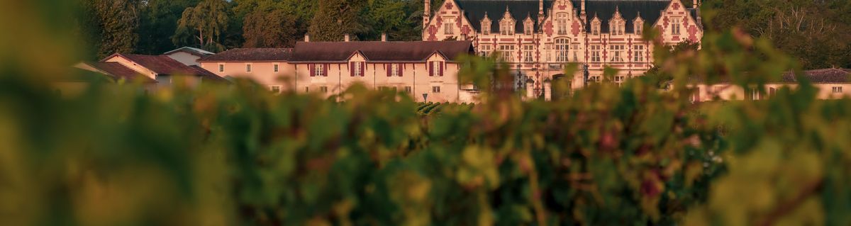 Das Anwesen von Château Cantenac Brown und davor die Weinreben auf den Weinbergen
