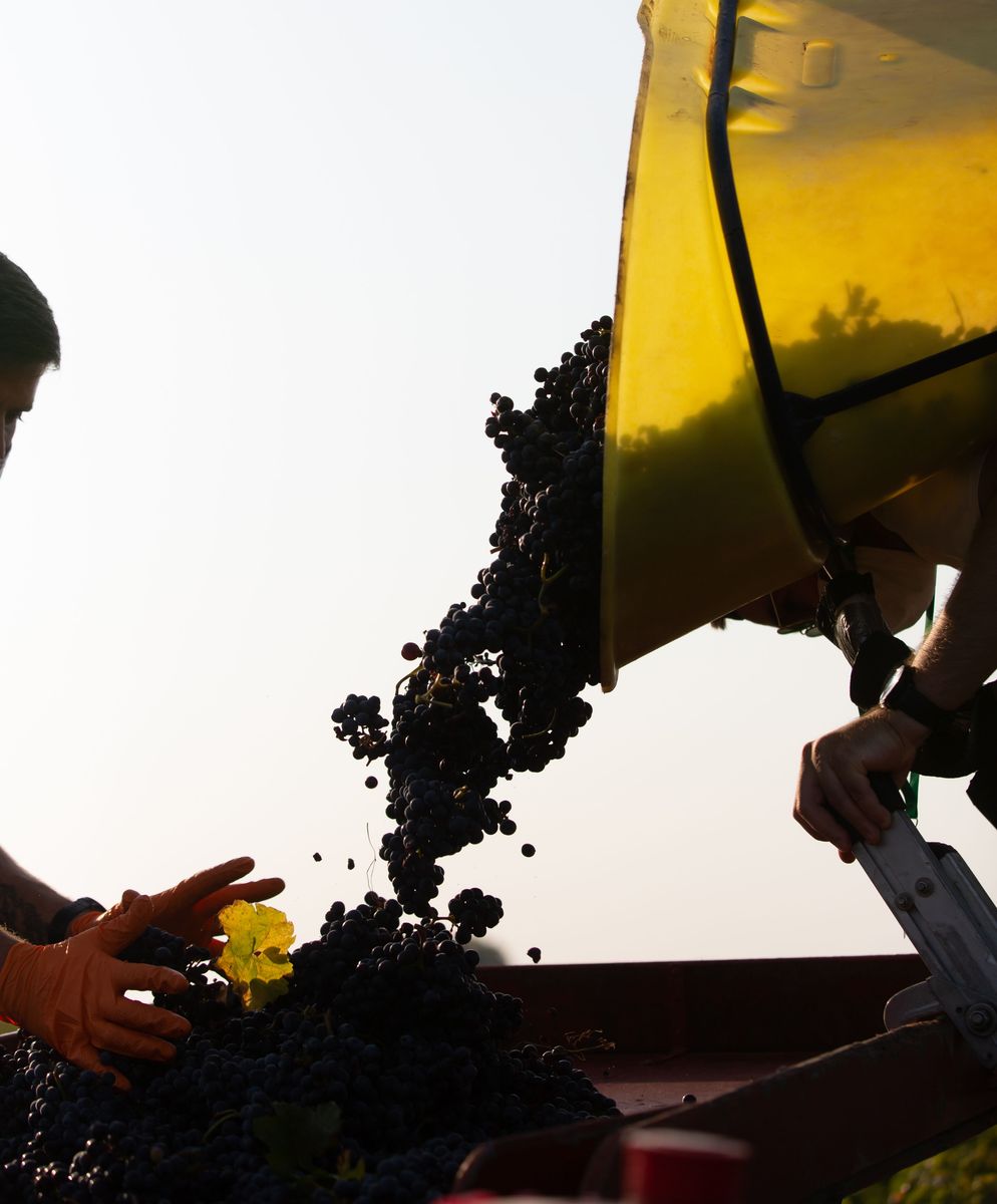 Chateau Lafite Rothschild