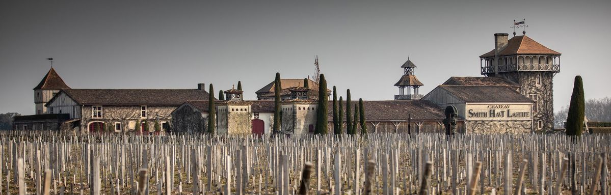 Gebäude von Chateau Smith Haut Lafitte im Hintergrund mit Weinreben im Winter im Vordergrund
