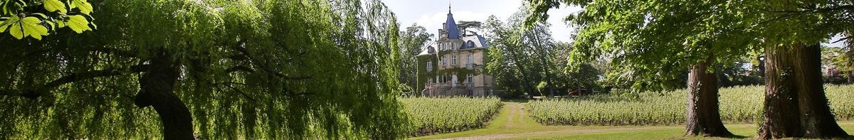 Weinreibenreihen und Bäume vor dem Anwesen von Château Les Carmes Haut-Brion.