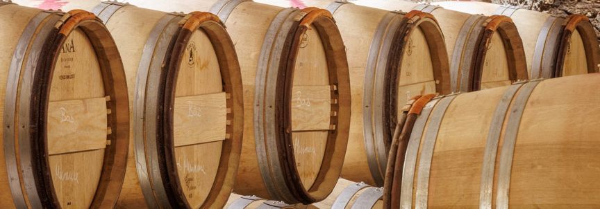 Aufgereihte Weinfässer im Weinkeller von Château Larcis Ducasse