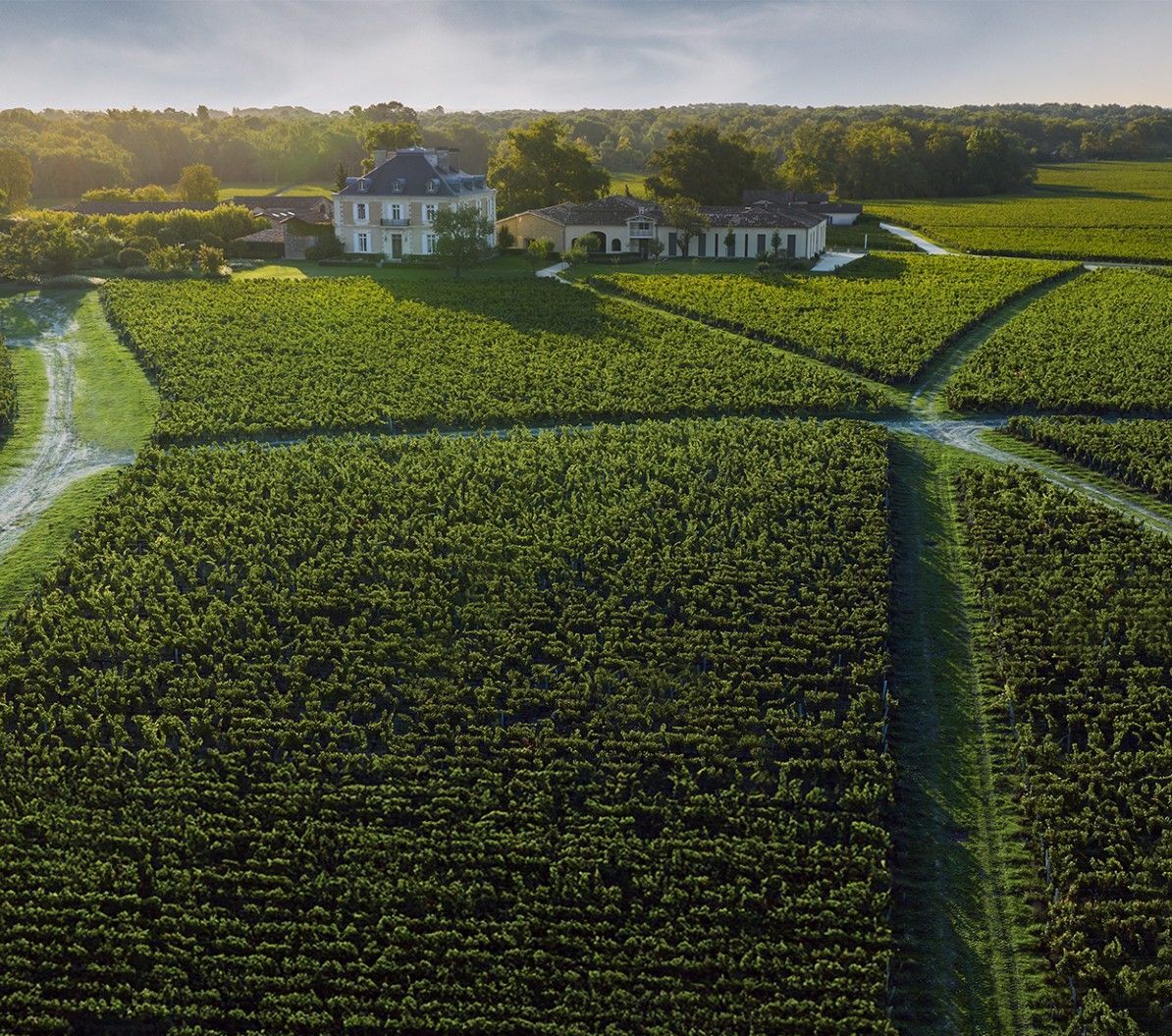 Chateau Haut Bailly