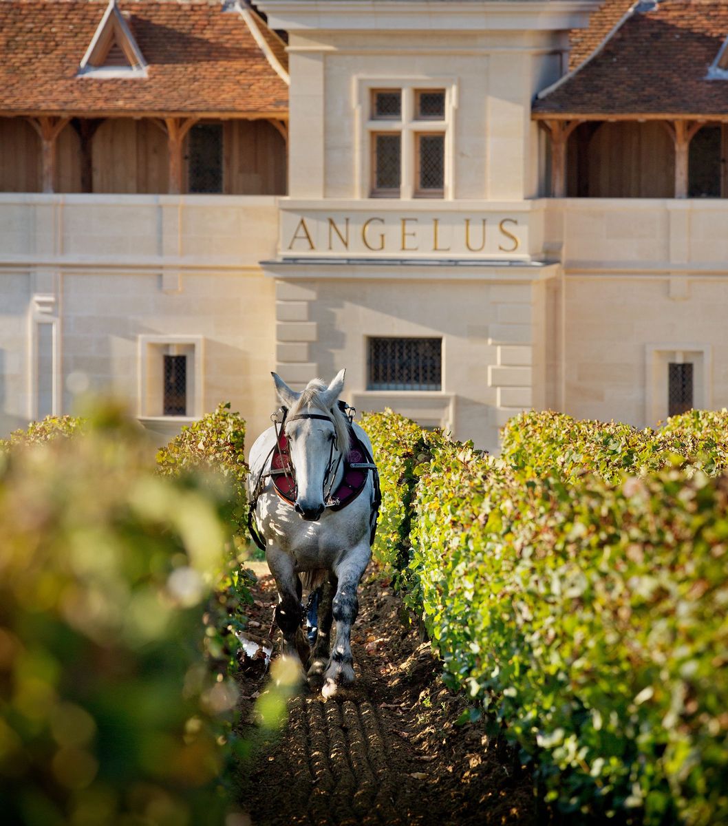 Chateau Angelus