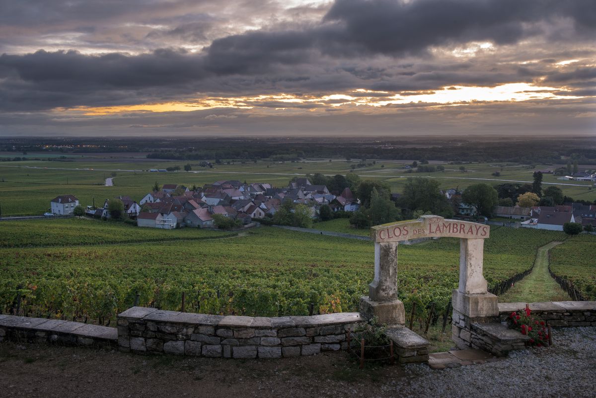Hügelige Weinrebenlandschaft von Domaine des Lambrays vor Dorflandschaft mit Steinbogen