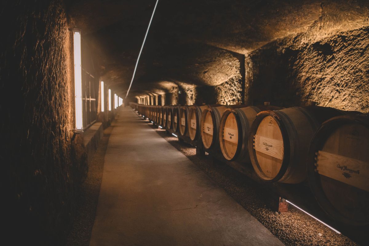 Aneinander gereihte Holzweinfässer von Chateau Clos Rougeard mit LED Lichter an der Wand