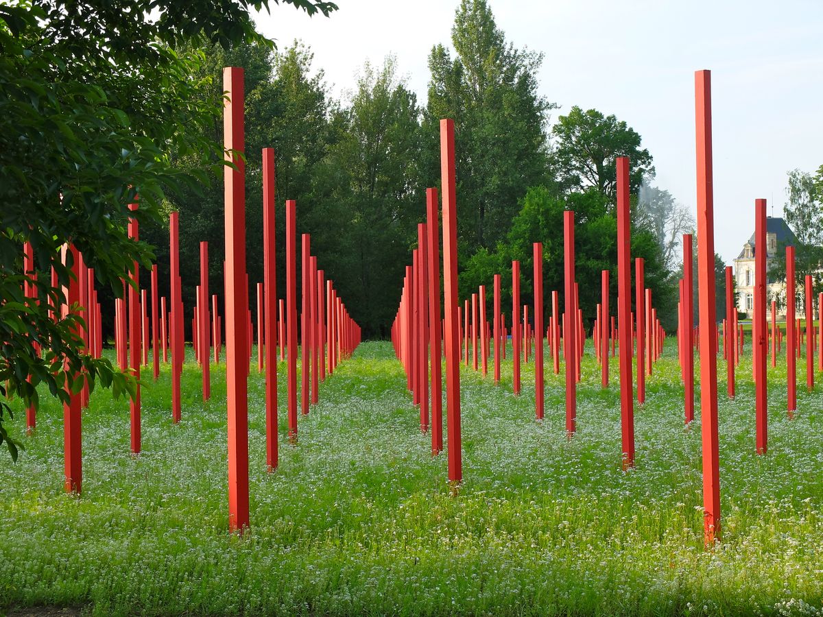 Rote Holzpfähle in Mitten von Blumenwiese von Chateau Larrivet Haut Brion