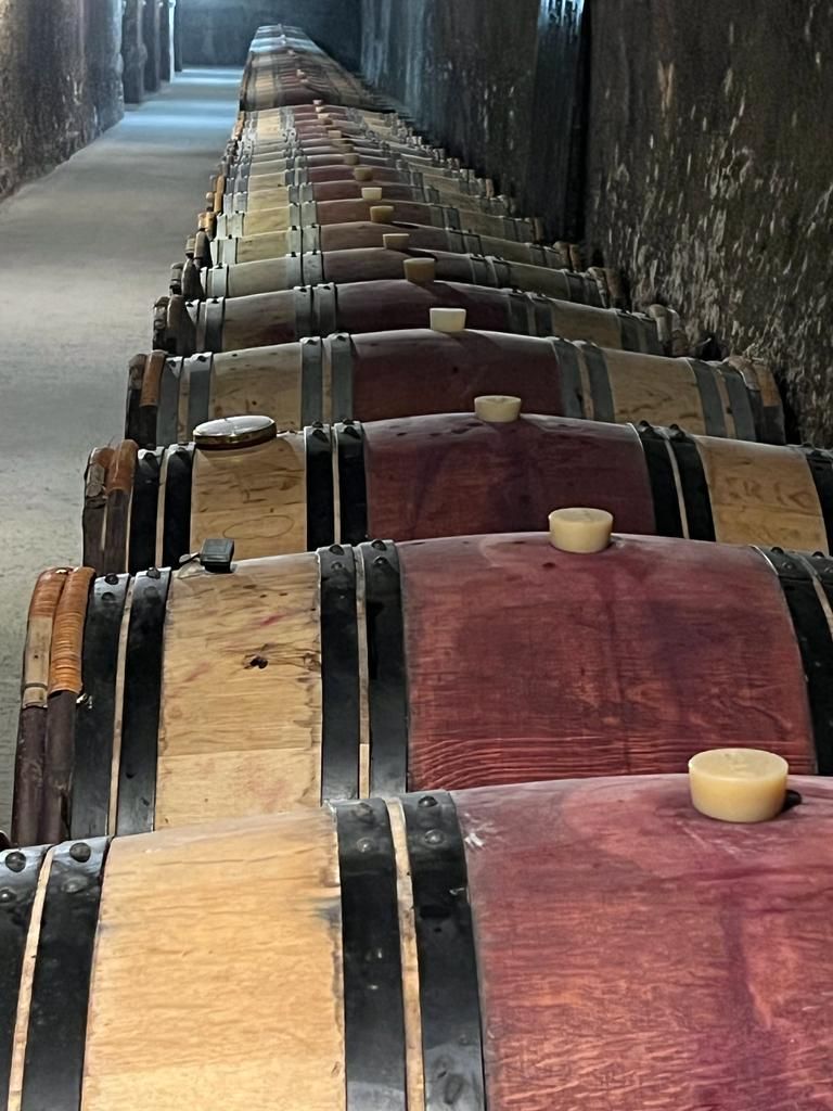 Aneinandergereihte Holzweinfässer von Chateau Clos Rougeard auf Steinboden
