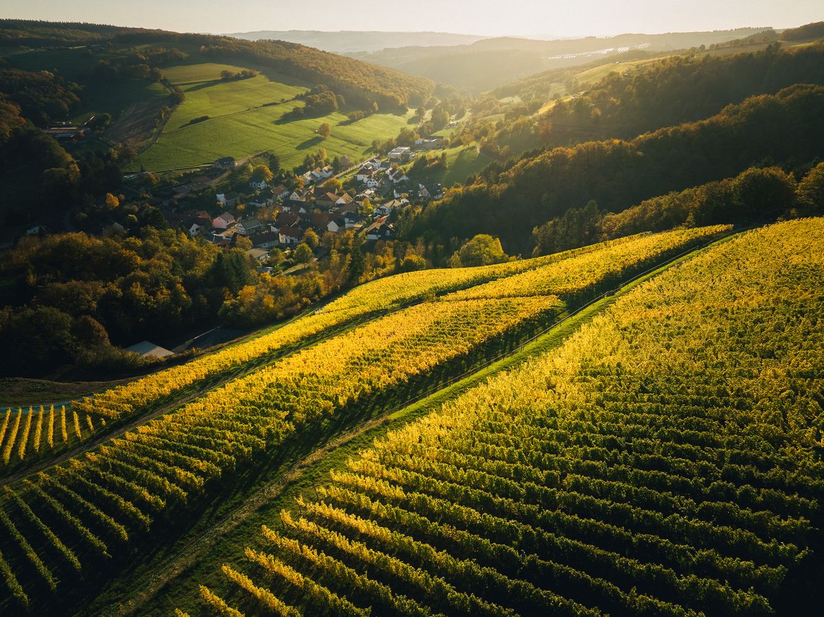 Langer Gang eines Weinlagers mit Holzkisten in Stahlregalen