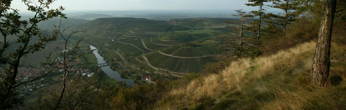 Blick von der Ferne auf die Weinberge von Weingut Dönnhoff