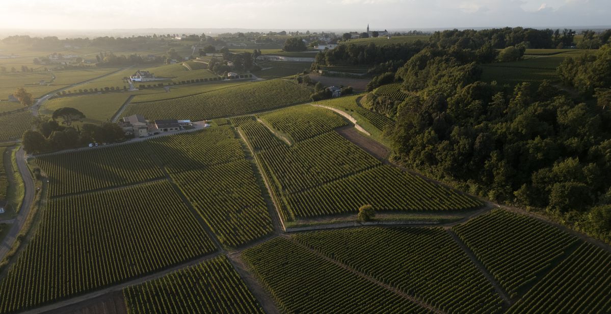Weite Weinberlandschaft von Château Larcis Ducasse