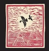 Screaming Eagle - The Flight 2015