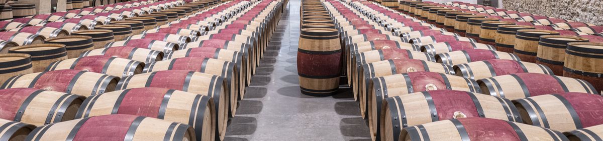 Aneinander gereihte Holzweinfässer vom Chateau Calon Segur