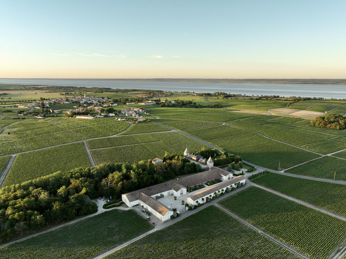 Chateau Tronquoy Lalande