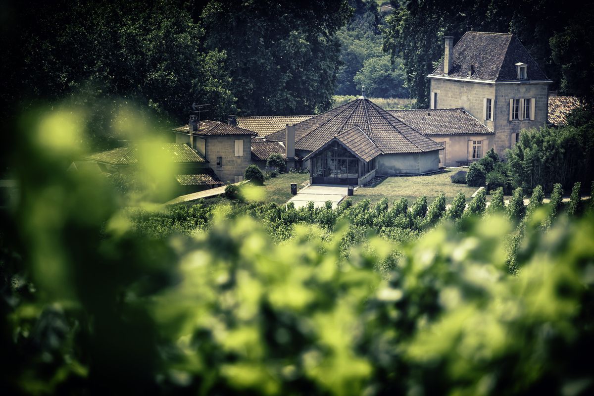 Altes Gebäude von Château Bellefont Belcier im Hintergrund mit Weinbergen im Vordergrund