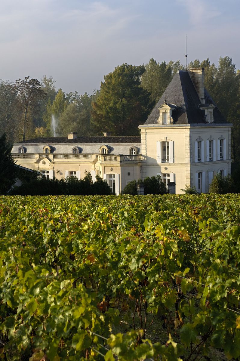 Chateau Larrivet Haut Brion