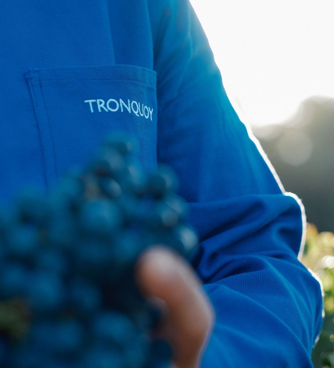 Chateau Tronquoy Lalande