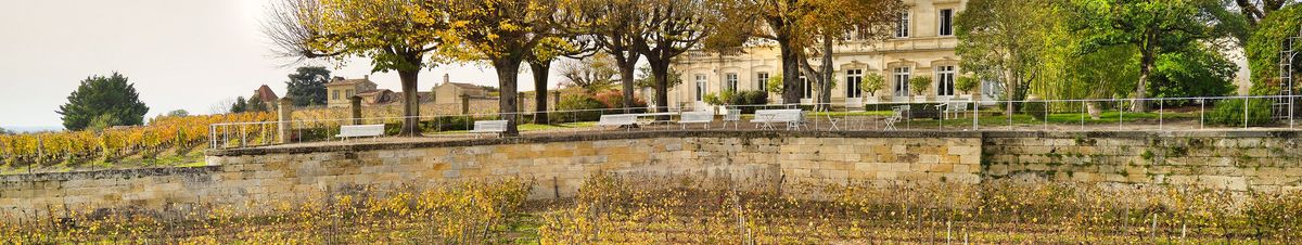 Weinbergreihen vor den Gebäuden von Château Ausone im Herbst