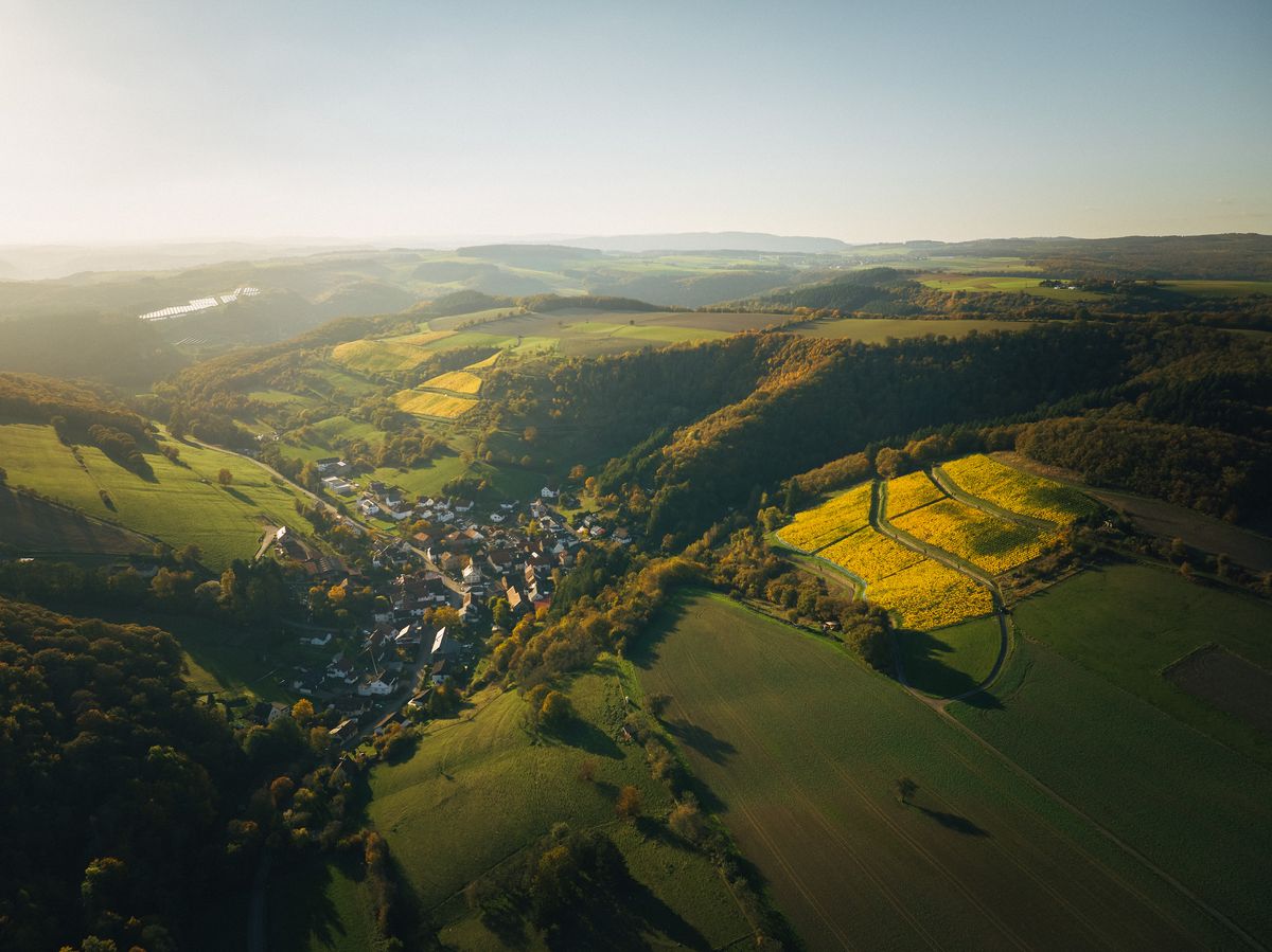 Weingut Hees