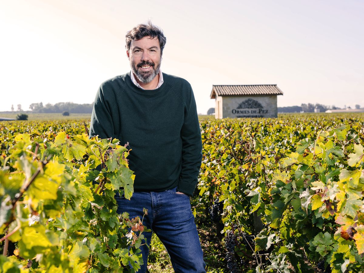 Chateau Ormes de Pez