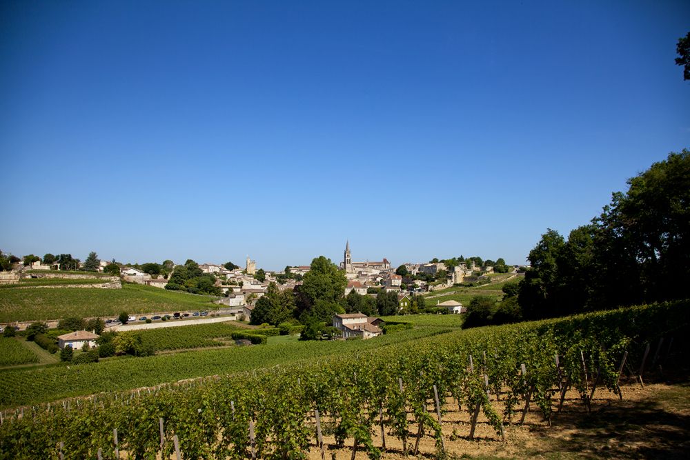 Weinbergelandschaft vor Dorfbild mit Kirche mittendrin unter blauem Himmel