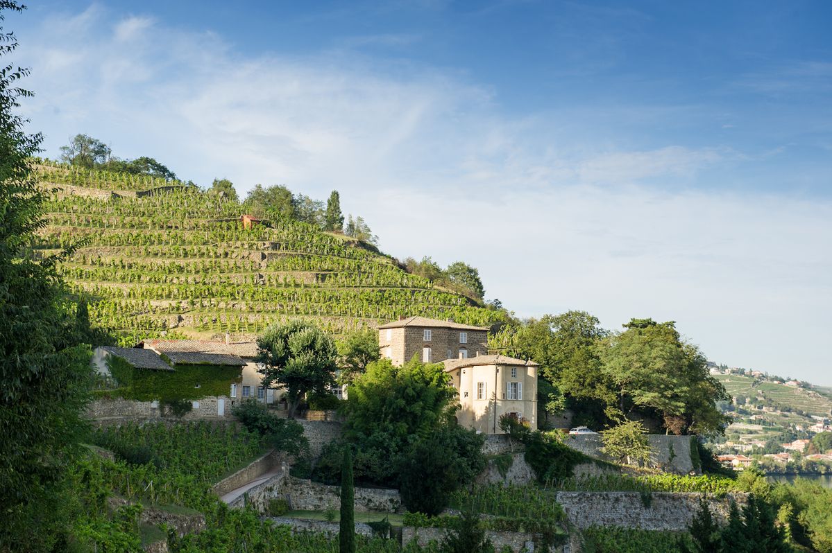 Chateau Grillet