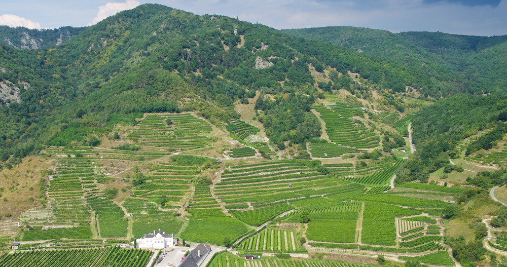 Bild von Domäne Wachau