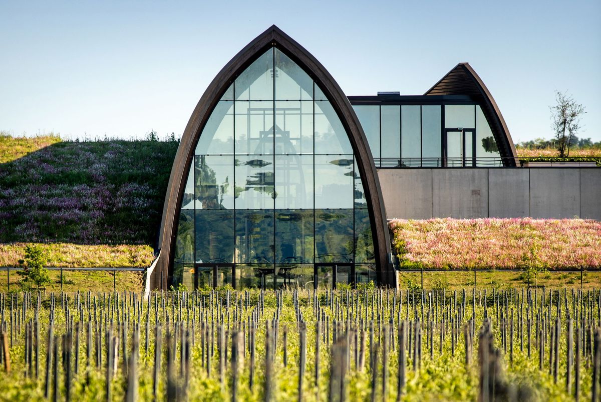 Weinberge Chateau Angelus mit Blick auf die Gebäude des Chateau
