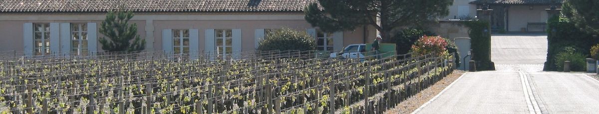 Straße entlang der Weinrebenreihen von Château Haut-Brion und im Hintergrund Häuser.