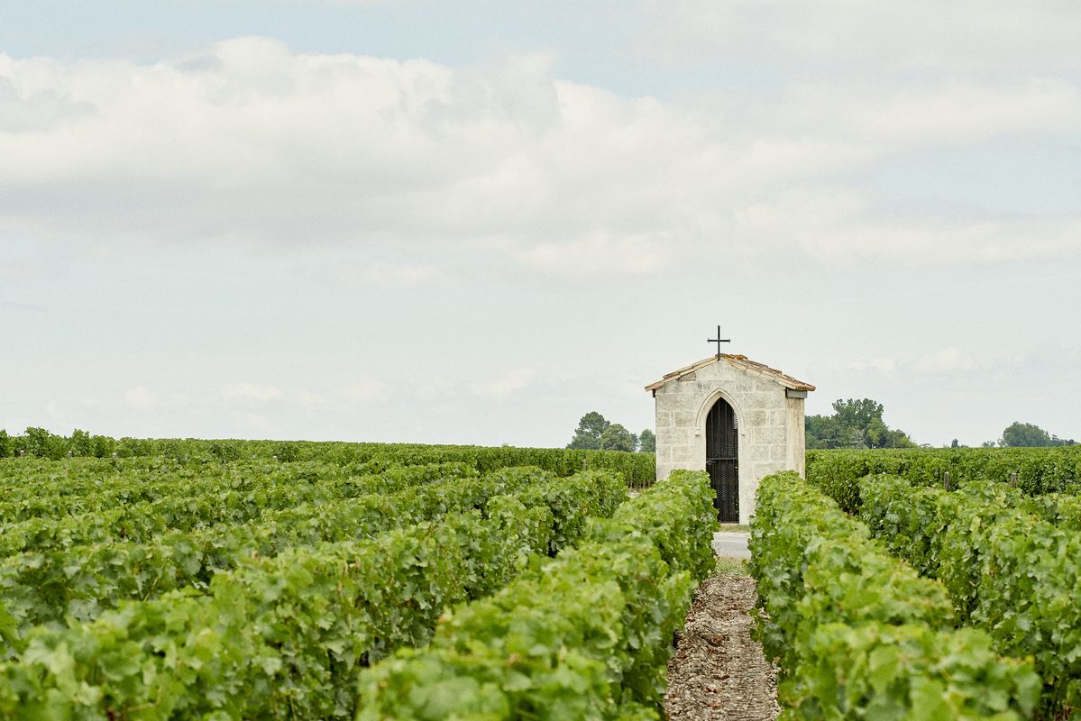 Kleine weiße Kapelle steht in der Mitte von Weinbergen von Chateau Pichon Comtesse de Lalande