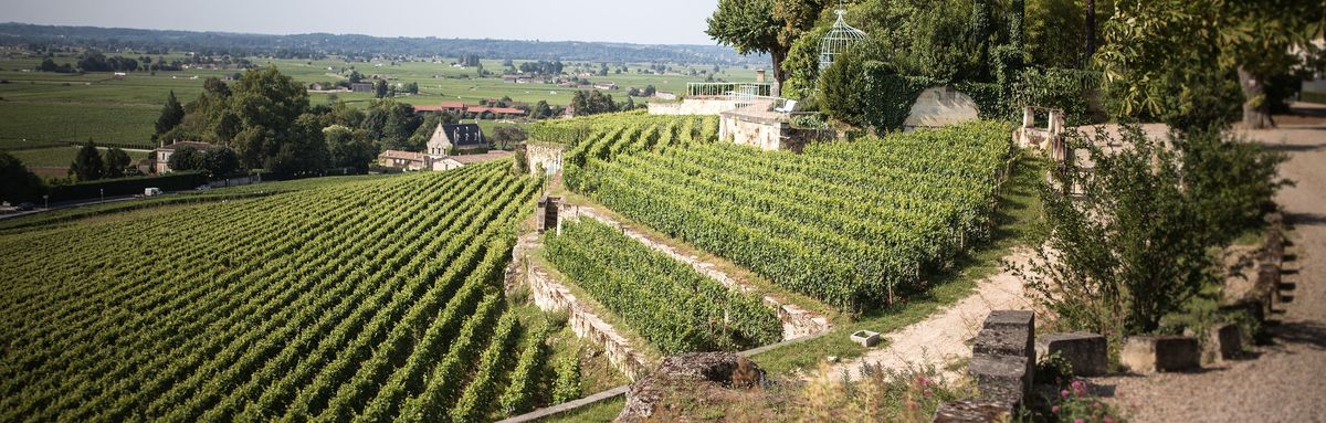 Blick von den Terrassen auf die Weinberge von Château Ausone herab