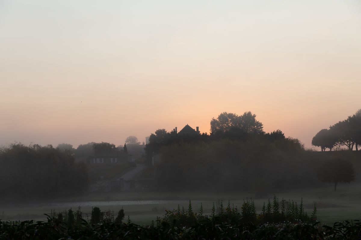 Weinberge mit Zypressenallee und See in hügeliger Landschaft