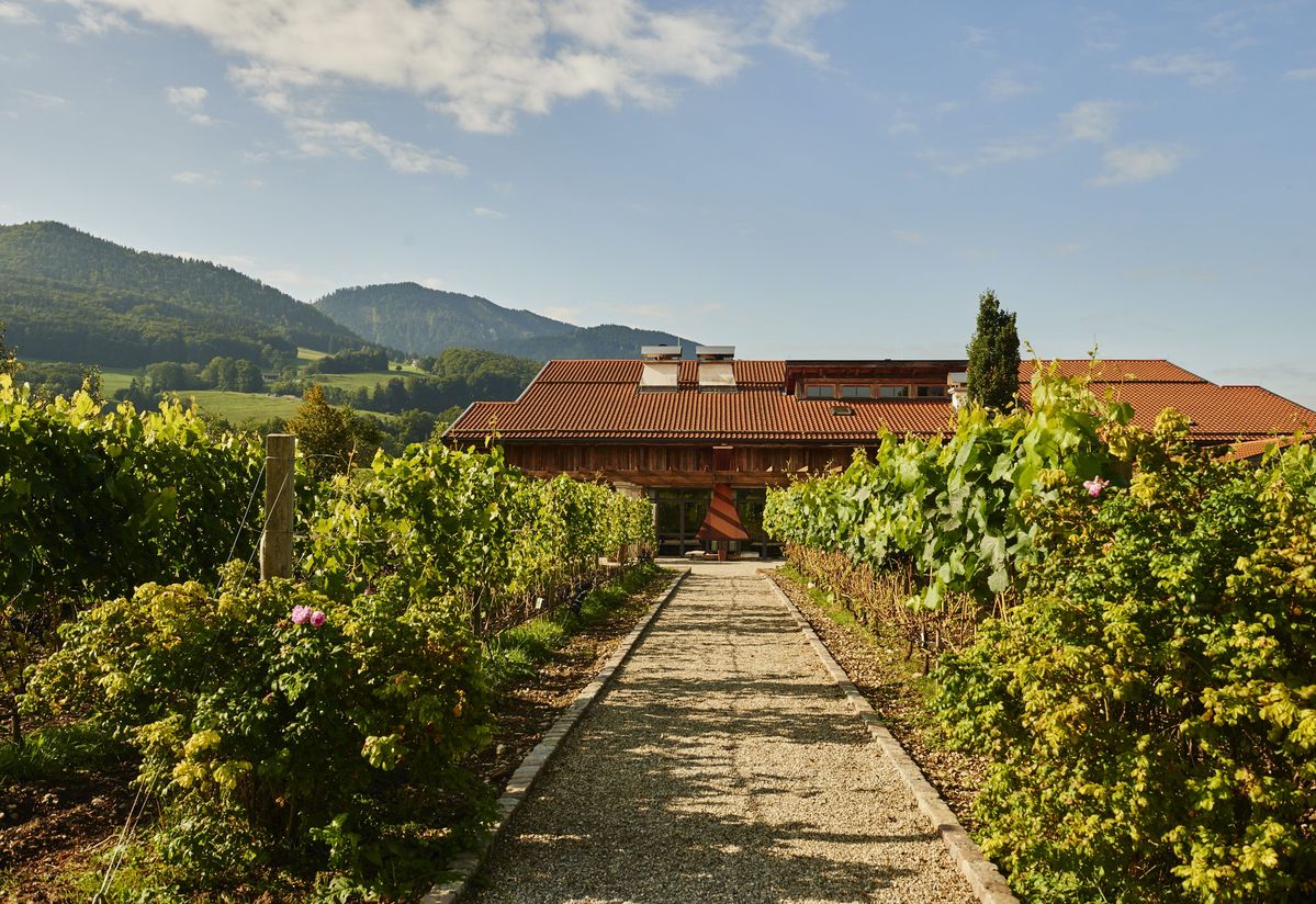Arbeiten bei Unger Weine