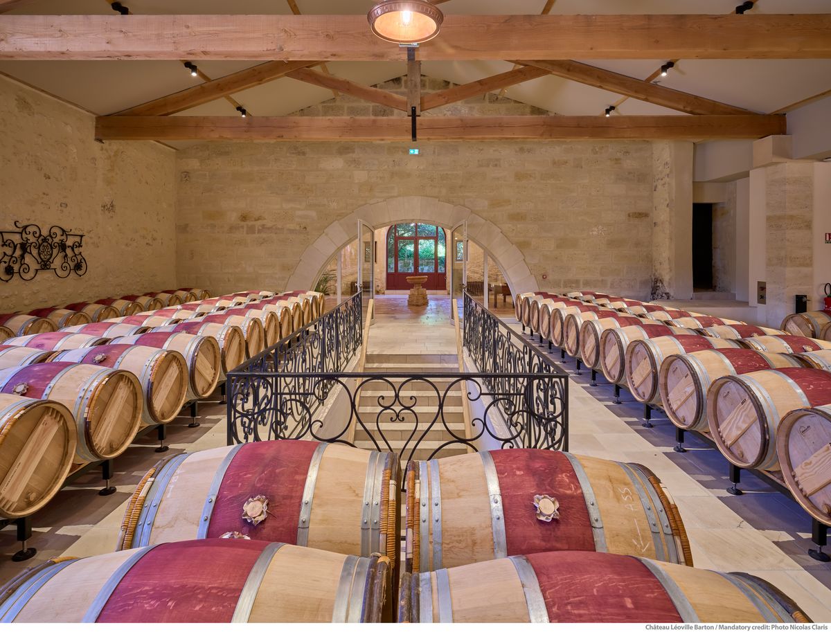 Weinkeller von Chateau Langoa Barton mit Treppe und nebeneinandergereihten Holzweinfässern