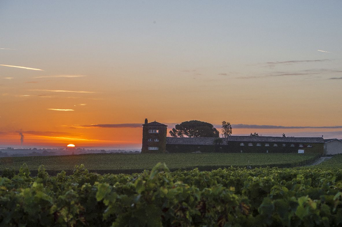 Chateau Rieussec liegt hinter weiter Landschaft von Weinbergen im Abendlicht