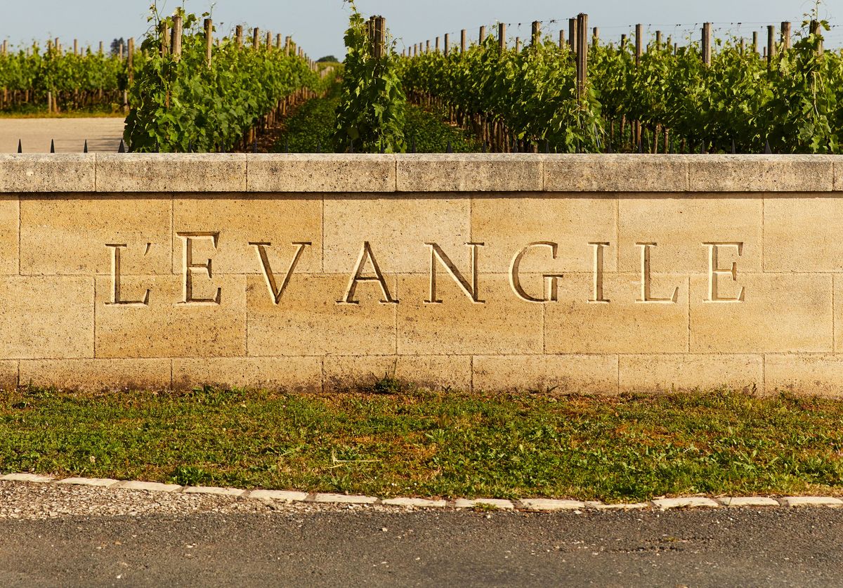 Gelbe Mauer mit eingravierten Chateau Namen vor Weinreben von Chateau L'Evangile