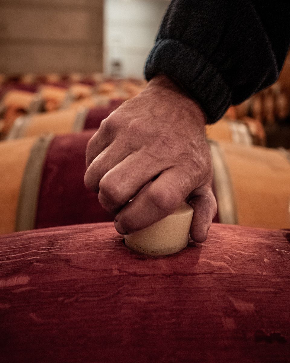 Hand steckt Stöpsel in rotes Holzweinfass von Chateau L'Evangile