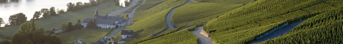 Weinberge von Weingut Willi Schaefer aus der Vogelperspektive