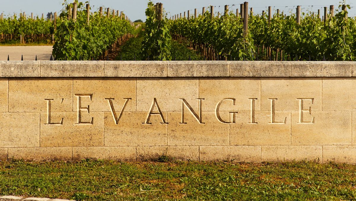 Gelbe Mauer mit Chateau Namen eingraviert vor Weinreben von Chateau L'Evangile
