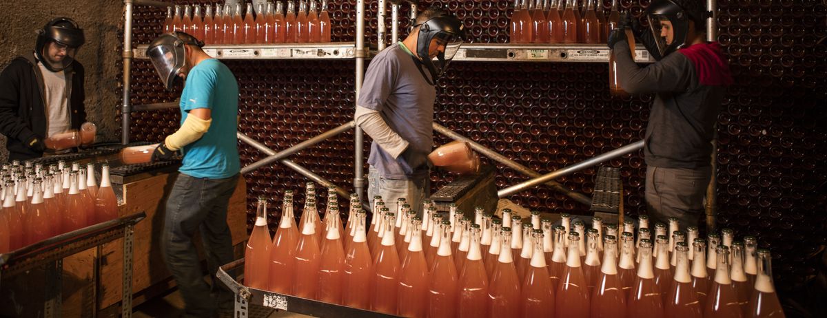 Mehrere Personen arbeiten im gewölbten Weinkeller von Schramsberg mit Schutzkleidung