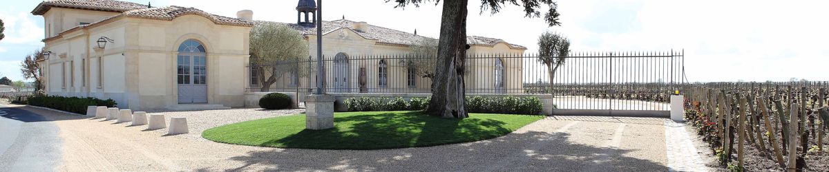 Außenansicht der Gebäude von Weingut Petrus mit einem Baum und einer kleinen Grünfläche im Vordergrund und den angrenzenden Weinberg an der rechten Seite.